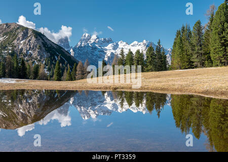 Prato Piazza / Plätzwiese, Dolomites, South Tyrol, Italy, The Cristallo massif is reflected in a pool on the Plätzwiese Stock Photo