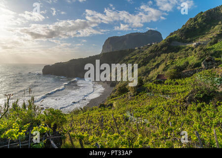 Vineyard and fruit plantations with Crane viewpoint in the background, Faial, Santana municipality, Madeira region, Portugal, Stock Photo