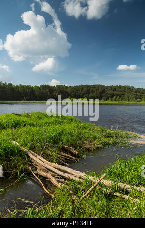 Europe, Poland, Voivodeship Masovian, Bug river Stock Photo