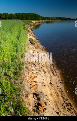Europe, Poland, Voivodeship Masovian, Bug river Stock Photo