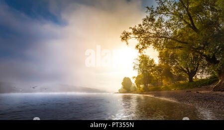 Fog clearing up over River Rhine, swans flying, Bonn, Germany Stock Photo