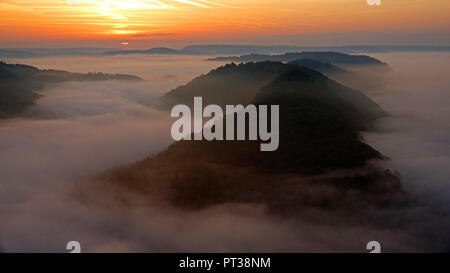 Morning fog at the big Saar loop, Mettlach-Orscholz, Saarland, Germany Stock Photo