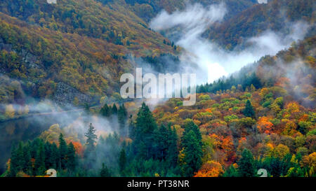 Morning fog at the big Saar loop, Mettlach-Orscholz, Saarland, Germany Stock Photo