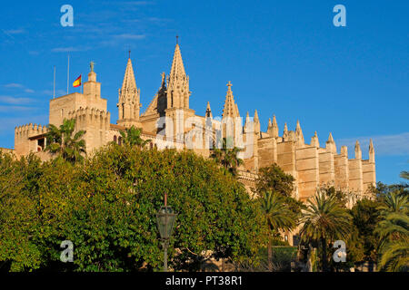 Royal Palace Almudaina and La Seu Cathedral, Palma de Mallorca, Mallorca, Balearic Islands, Spain Stock Photo