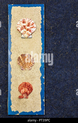 Maritime table decoration, flotsam, seashells Stock Photo