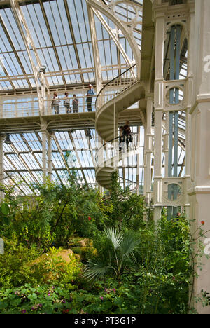Inside The Temperate House in The Royal Botanic Gardens Kew Gardens London England UK Stock Photo