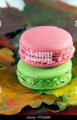 Macaroons on the colorful maple leaves at autumn time Stock Photo