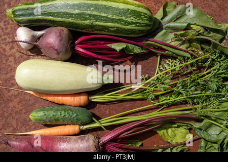 Many raw fresh vegetables from new harvest on rusty melallic surface background Stock Photo
