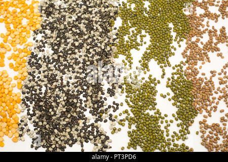 Close up of seeds of four pulses arranged in row. Isolated on white background. Stock Photo