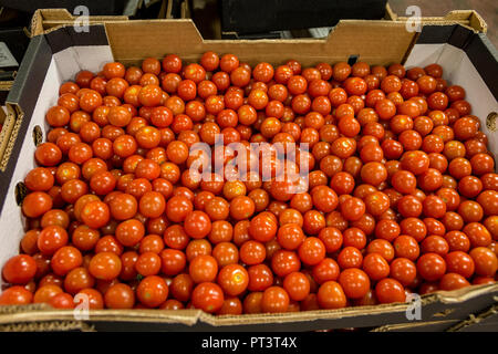 Food Production in the UK - Fruit, Vegetables, Prepared Salads, Healthy Living Stock Photo