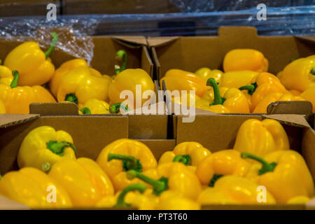 Food Production in the UK - Fruit, Vegetables, Prepared Salads, Healthy Living Stock Photo