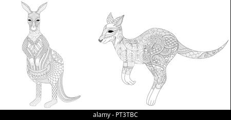 Cute adult kangaroo australian animal cartoon animal design vector ...