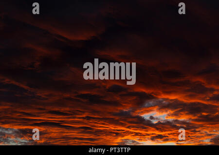 Clouds lit orange by sunset. Gradient from darker to brighter. Stock Photo