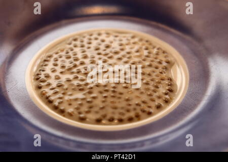 Conceptual shot of chia seeds on a plate, with warm colors and reflections. Stock Photo