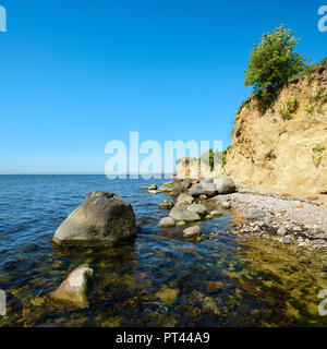 Baltic coast in spring, boulders on the shore, flowering shrubs, cliffs of the Reddevitzer Höft, Mönchgut peninsula, Biosphere reservation Southeast Rügen, Rügen Island, Mecklenburg-Vorpommern, Germany Stock Photo