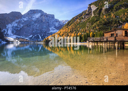 Colorful woods and peaks are reflected in Lake Braies Natural Park of Fanes Sennes Bolzano Trentino Alto Adige Italy Europe Stock Photo