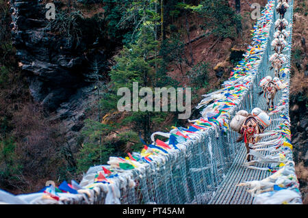 Asia, Nepal, Himalaya region, Khumbu, Sagarmatha National Park, Everest Base Camp Trekking Stock Photo