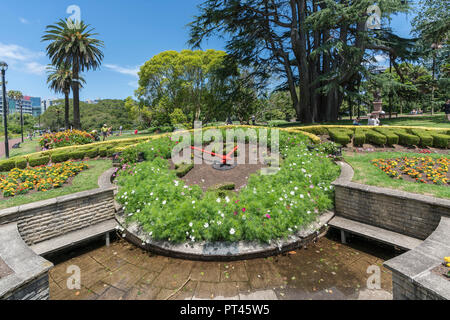 Floral clock in Albert Park, Auckland City, Auckland region, North Island, New Zealand, Stock Photo