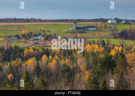 Canada, Quebec, Chaudiere-Appalaches Region, Wilson, farm, autumn by Rt 269 Stock Photo