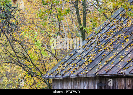 Canada, Quebec, Capitale-Nationale Region, Deschambault, autumn