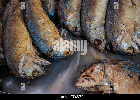 Perfect Fried Mackerels Stock Photo