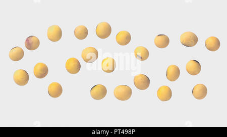soybean on white background and clipping path	 Stock Photo