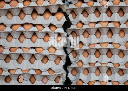 Chicken eggs in egg carton Stock Photo