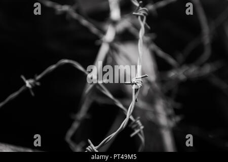 Abstract black and white barbed wire background Stock Photo