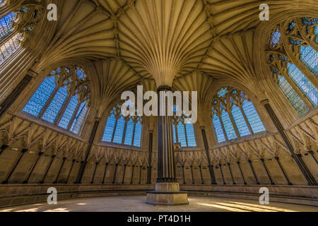 The beautiful gothic style vaulted ceiling of the Chapter House in Wells Cathedral, Somerset. Stock Photo