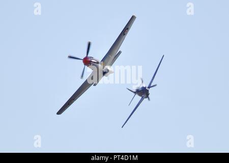 Pair of North American P-51 Mustang Second World War fighter planes flying at the IWM Duxford Battle of Britain Airshowon the 23 September 2018 Stock Photo