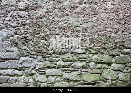 Old gray and brown deteriorating medieval stone wall background with discoloration from lichens and moss - Green walls and buildings Stock Photo