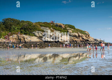 USA, New England, Massachusetts, Cape Ann, Gloucester,  Salt Island, summer Stock Photo