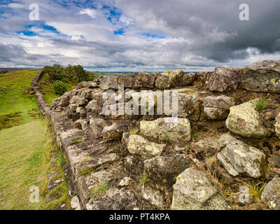 Hadrian's Wall near Walltown Crags, Northumberland, UK, on a moody summer day. Stock Photo