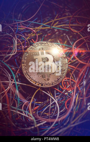 Bitcoin gold coin and network wire connectors patch cord cable Stock Photo