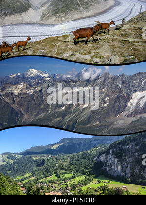 Collage of tourist photos of the Switzerland. Stock Photo