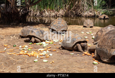 La Vanille Reptile park, Soillac, Mauritius Stock Photo