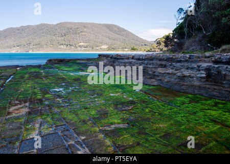 View of Tessellated Pavement in Pirates Bay, Tasmania. Stock Photo