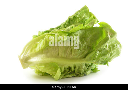 Romain Lettuce isolated on a white background Stock Photo