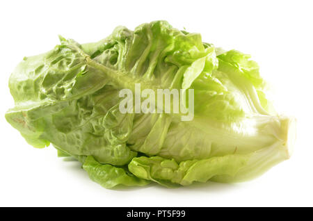 Romain Lettuce isolated on a white background Stock Photo