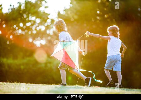 Boys playing with kite in park. Stock Photo