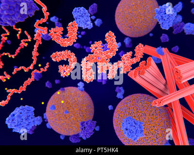 Tau protein in Alzheimer's disease,illustration.Pathological phosphorylation (yellow) of Tau proteins (red-orange) by kinases (blue-purple) affect nerve cells in what is called a neurofibrillary tangle.This illustration shows the transport of synaptic vesicles (orange-blue spheres) being interrupted.The tau proteins also affect microtubles (red cylinders).A neurofibrillary tangle consists of abnormal aggregates and insoluble fibres of the protein tau.Tau protein is an abundant neural protein,aggregations of which are thought to play a role in Alzheimer's disease and other neural disorders. Stock Photo