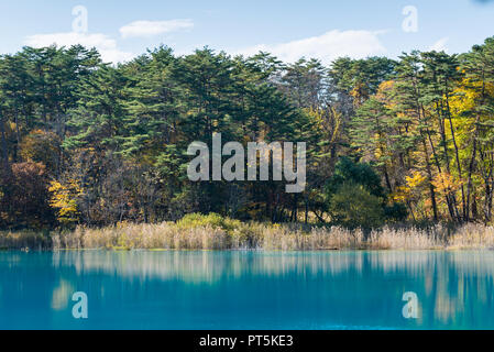 Goshiki-numa Five Colour Pond in Autumn, Urabandai, Fukushima, Japan Stock Photo