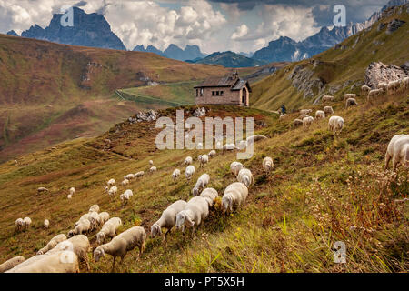 Beautiful Dolomites with approaching sheep herd and small chapel in the center of the photo. Stock Photo