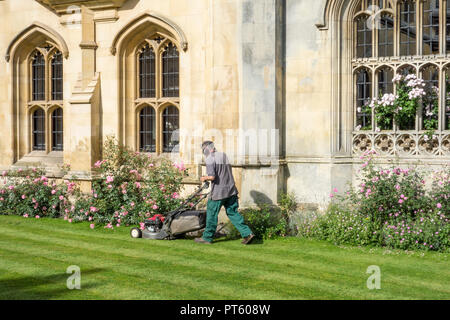 Gardner mowing lawn outside King's College, University of Cambridge, UK Stock Photo