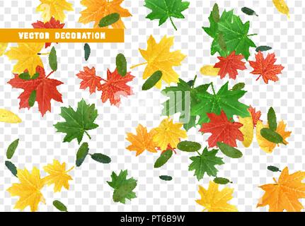 Colorful Fall Foliage. Autumn leaves maple and other trees. Falling effect on transparent background. Stock Vector
