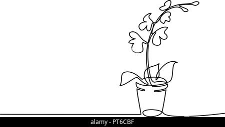 Continuous one line drawing. Blooming orchid in pot. Vector illustration Stock Vector