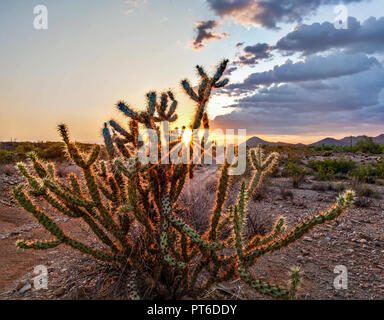 A beautiful sunset in Peoria Arizona. I captured this amazing sunset when I was out riding my mountain bike in the sonoran desert. Stock Photo