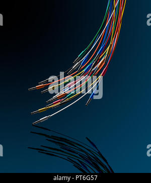 Colored Wires with Jack Plugs, Multicolor Stock Photo