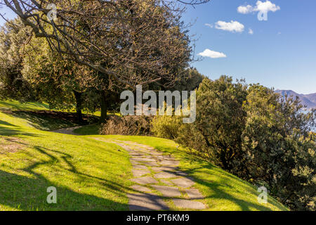 Europe, Italy, Bellagio, Lake Como, VIEW OF TREES ON LANDSCAPE AGAINST SKY Stock Photo