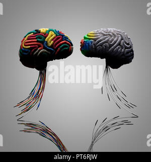 Concept 2 Two Brains making a connection by color wires, Stem made of jack plugs, Wired, Connection, Connectivity, Wired, Learning, Teaching, Influenc Stock Photo